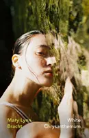 Crisantemo blanco - White Chrysanthemum