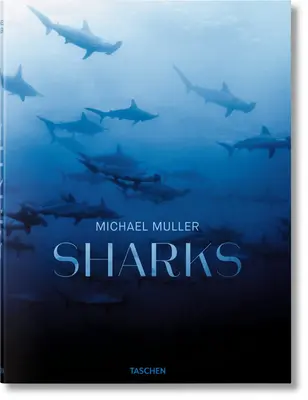 Michael Muller Tiburones - Michael Muller. Sharks