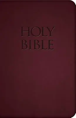 Santa Biblia-Nab - Holy Bible-Nab