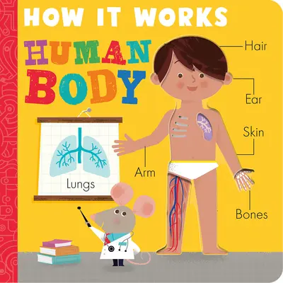 Cómo funciona: El cuerpo humano - How It Works: Human Body