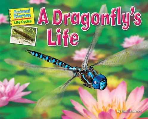 La vida de una libélula - A Dragonfly's Life