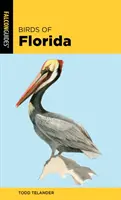 Aves de Florida - Birds of Florida