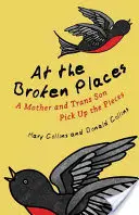 En los lugares rotos: Una madre y un hijo trans recogen los pedazos - At the Broken Places: A Mother and Trans Son Pick Up the Pieces