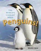 ¡Pingüinos! Las aves más geniales del mundo - Penguins!: The World's Coolest Birds