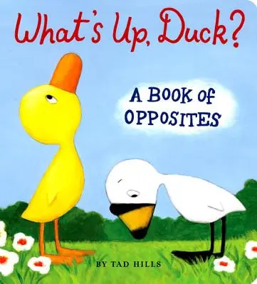 ¿Qué pasa, Duck?: Un libro de opuestos - What's Up, Duck?: A Book of Opposites