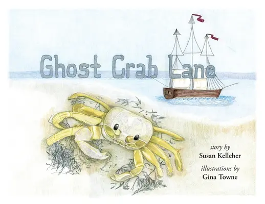 La calle del cangrejo fantasma - Ghost Crab Lane