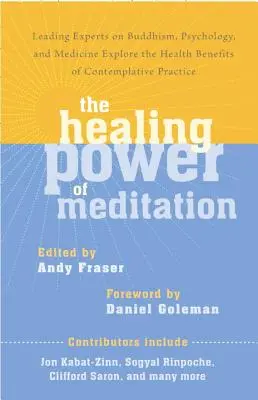 El poder curativo de la meditación: Destacados expertos en budismo, psicología y medicina exploran los beneficios para la salud de la práctica contemplativa - The Healing Power of Meditation: Leading Experts on Buddhism, Psychology, and Medicine Explore the Health Benefits of Contemplative Practice