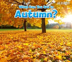 ¿Qué puedes ver en otoño? - What Can You See In Autumn?