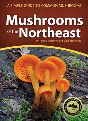 Setas del Noreste: Guía sencilla de setas comunes - Mushrooms of the Northeast: A Simple Guide to Common Mushrooms