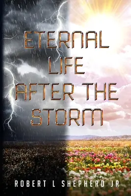 La vida eterna después de la tormenta: Libro del viaje de un cristiano del nacimiento a la vida eterna - Eternal Life After The Storm: A Book of a Christian's Journey from Birth to Eternal Life