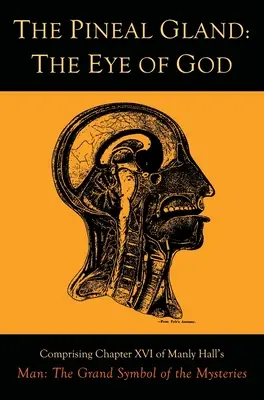 La glándula pineal: El ojo de Dios - The Pineal Gland: The Eye of God