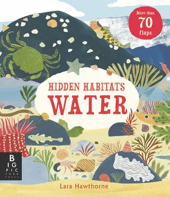 Hábitats ocultos: Agua - Hidden Habitats: Water