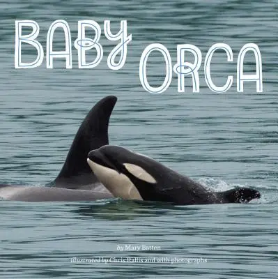 Orca bebé - Baby Orca