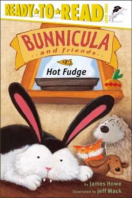 Hot Fudge, 2: Listo para leer Nivel 3 - Hot Fudge, 2: Ready-To-Read Level 3