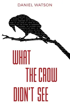 Lo que el cuervo no vio - What the Crow Didn't See