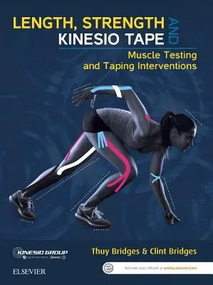 Longitud, Fuerza y Kinesio Tape: Pruebas musculares e intervenciones con cinta - Length, Strength and Kinesio Tape: Muscle Testing and Taping Interventions