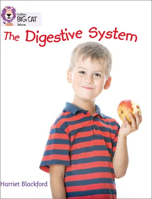 El aparato digestivo - The Digestive System