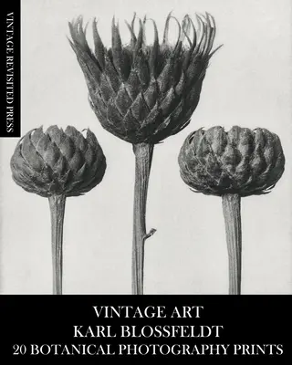 Arte Vintage: Karl Blossfeldt 20 Fotografías Botánicas - Vintage Art: Karl Blossfeldt 20 Botanical Photography Prints