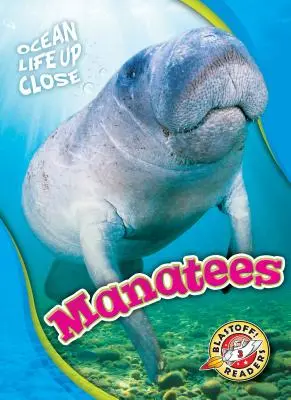 Manatíes - Manatees