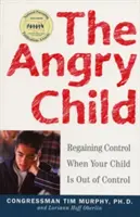 El niño enfadado: Cómo recuperar el control cuando su hijo está fuera de control - The Angry Child: Regaining Control When Your Child Is Out of Control