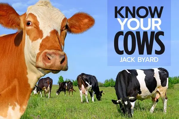 Conozca sus vacas - Know Your Cows