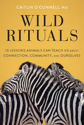 Rituales salvajes: 10 lecciones que los animales pueden enseñarnos sobre la conexión, la comunidad y nosotros mismos - Wild Rituals: 10 Lessons Animals Can Teach Us about Connection, Community, and Ourselves