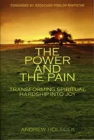 El poder y el dolor: Transformar las dificultades espirituales en alegría - The Power and the Pain: Transforming Spiritual Hardship Into Joy