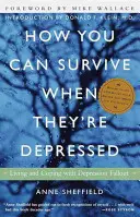 Cómo Sobrevivir Cuando Están Deprimidos: Vivir y afrontar las consecuencias de la depresión - How You Can Survive When They're Depressed: Living and Coping with Depression Fallout