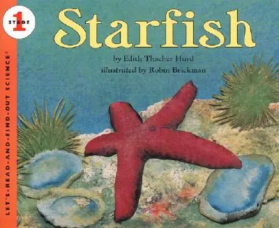 Estrella de mar - Starfish