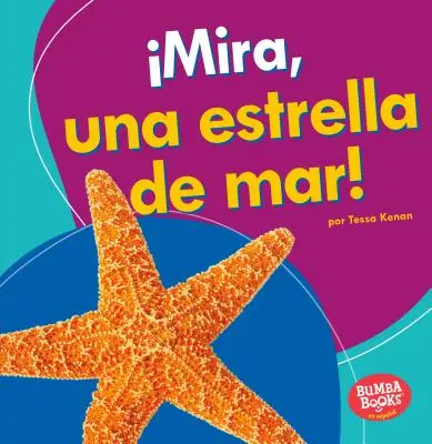 ¡Mira, Una Estrella de Mar! (¡Mira, una Estrella de Mar!) - Mira, Una Estrella de Mar! (Look, a Starfish!)