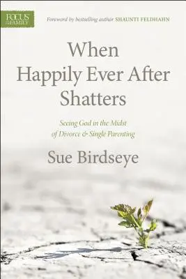 Cuando la felicidad para siempre se hace añicos: Ver a Dios en medio del divorcio y la monoparentalidad - When Happily Ever After Shatters: Seeing God in the Midst of Divorce & Single Parenting