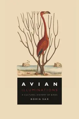 Iluminaciones aviares: Historia cultural de las aves - Avian Illuminations: A Cultural History of Birds