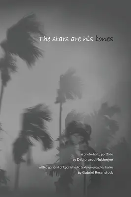 Las estrellas son sus huesos: una monografía atmosférica de foto-haiku con extractos upanishádicos - The stars are his bones: an atmospheric photo-haiku monograph with Upanishadic extracts