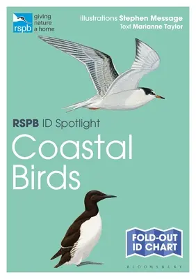 Rspb Id Spotlight - Aves costeras - Rspb Id Spotlight - Coastal Birds