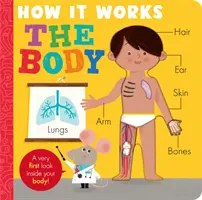 Cómo funciona: El Cuerpo - How it Works: The Body