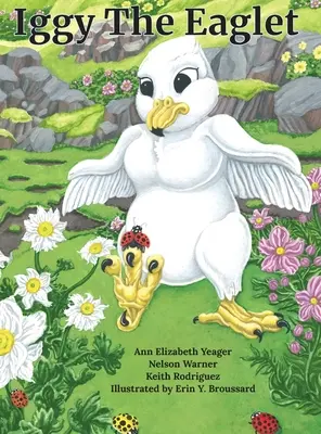 Iggy El Aguilucho - Iggy The Eaglet