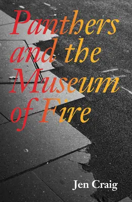 Panteras y el Museo del Fuego - Panthers and the Museum of Fire