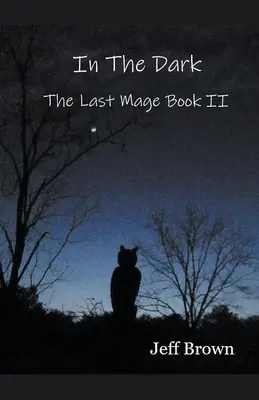 En la oscuridad: El último mago Libro II - In The Dark: The Last Mage Book II