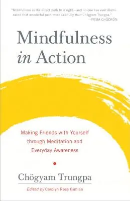 Mindfulness en acción: Hazte amigo de ti mismo a través de la meditación y la conciencia cotidiana - Mindfulness in Action: Making Friends with Yourself Through Meditation and Everyday Awareness