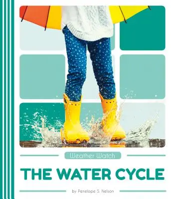 El ciclo del agua - The Water Cycle