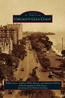 La Costa Dorada de Chicago - Chicago's Gold Coast