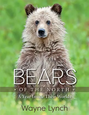 Osos del Norte: Un año en sus mundos - Bears of the North: A Year Inside Their Worlds