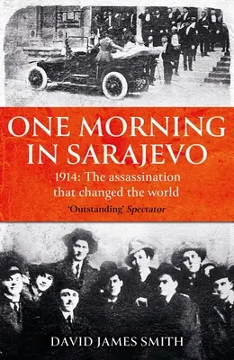 Una mañana en Sarajevo: La historia del asesinato que cambió el mundo - One Morning in Sarajevo: The Story of the Assassination That Changed the World