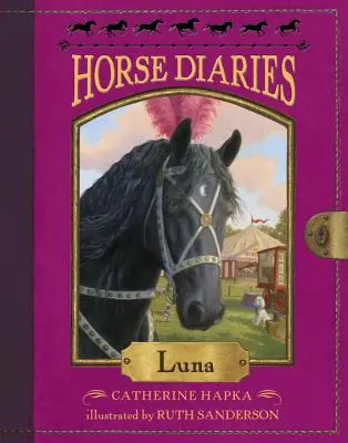 Diarios de caballo nº 12: Luna - Horse Diaries #12: Luna