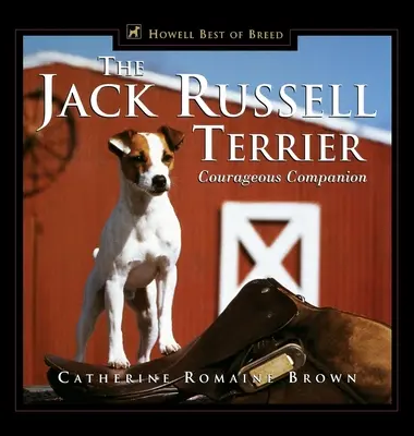 El Jack Russell Terrier: Un compañero valiente - The Jack Russell Terrier: Courageous Companion