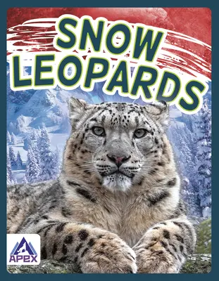 Leopardos de las nieves - Snow Leopards