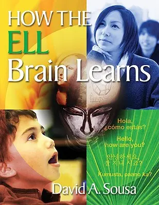 Cómo aprende el cerebro Ell - How the Ell Brain Learns