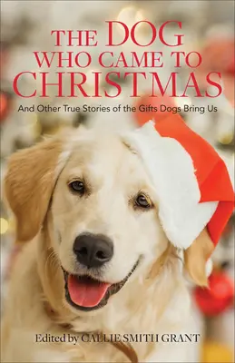 El perro que vino en Navidad - Dog Who Came to Christmas