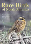 Aves raras de Norteamérica - Rare Birds of North America