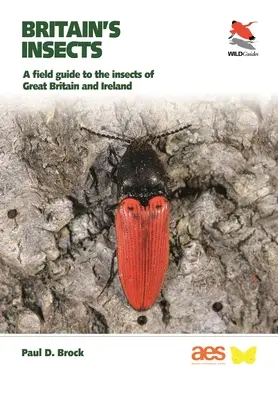 Los insectos de Gran Bretaña: Guía de campo de los insectos de Gran Bretaña e Irlanda - Britain's Insects: A Field Guide to the Insects of Great Britain and Ireland